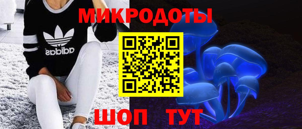 Севастополь  Галлюциногенные грибы Cubensis  Вход с VPN 